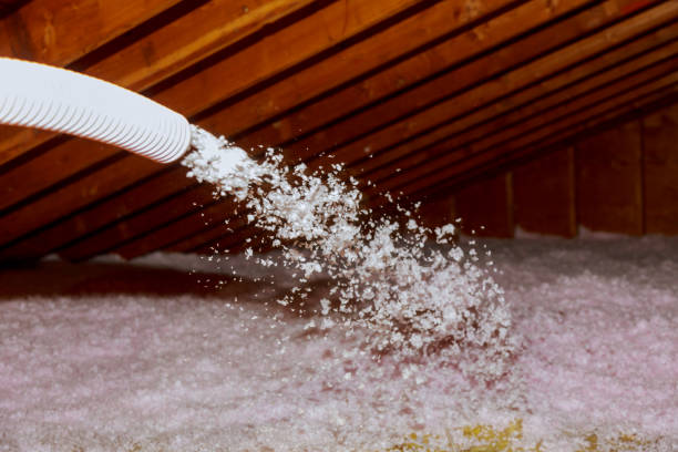 Best Residential Insulation in Hot Springs, AR