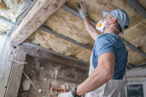 Best Specialty Insulation in Hot Springs, AR