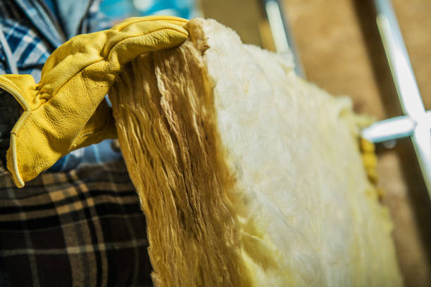 Best Insulation Maintenance and Repair in Hot Springs, AR