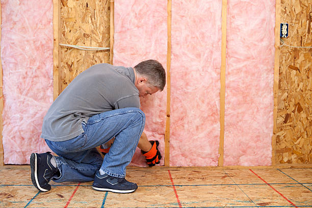 Best Insulation Materials and Products in Hot Springs, AR